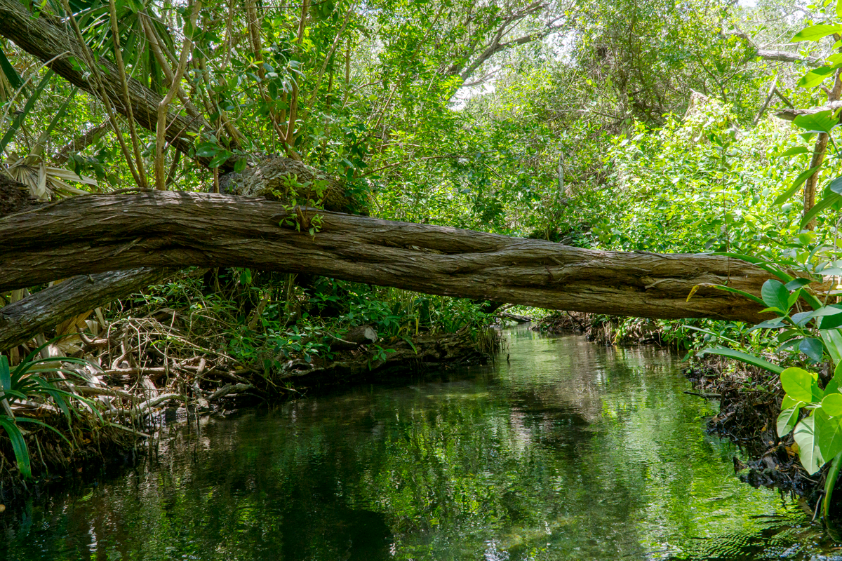 el-palmar-belleza-natural