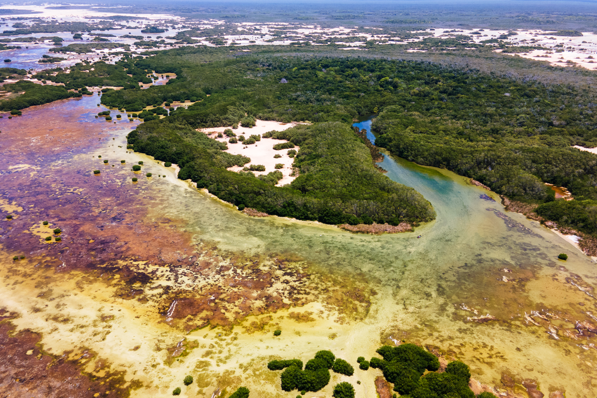 el-palmar-ojo-de-agua